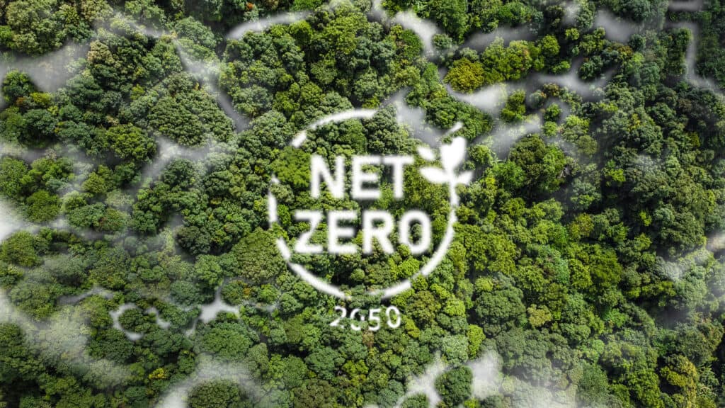 Net Zero 2050