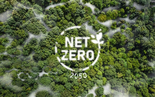 Net Zero 2050