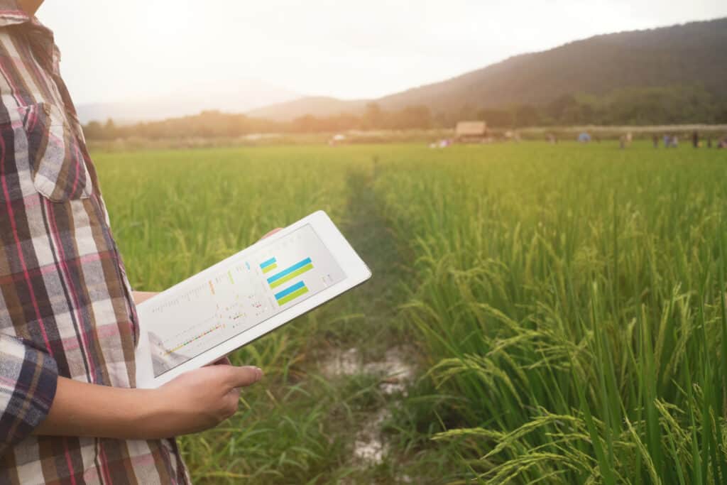 Farming digital twin simulation