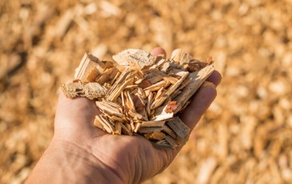 Woodchips for EV batteries