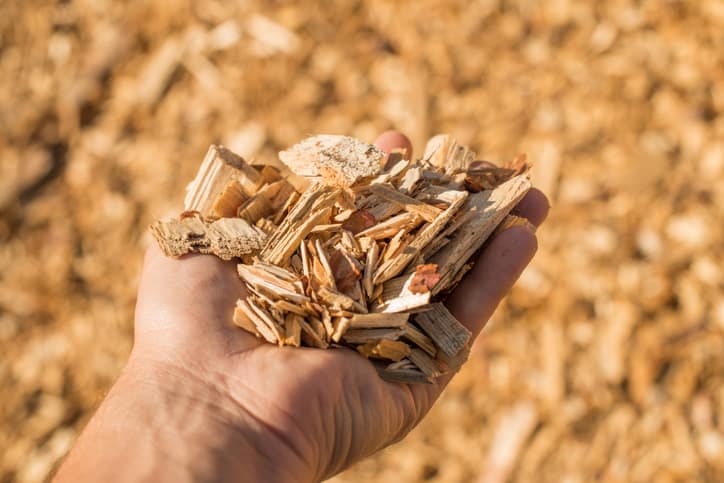 Woodchips for EV batteries